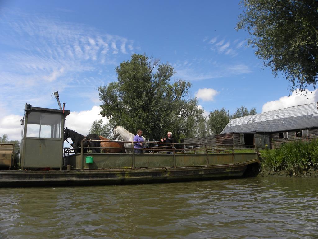 De Brabantse Biesbosch Hotell Werkendam Exteriör bild