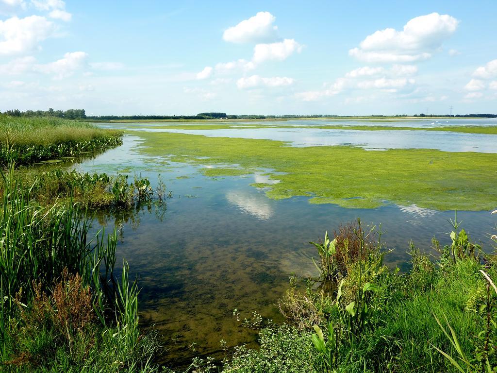 De Brabantse Biesbosch Hotell Werkendam Exteriör bild