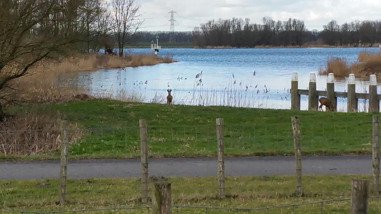 De Brabantse Biesbosch Hotell Werkendam Exteriör bild
