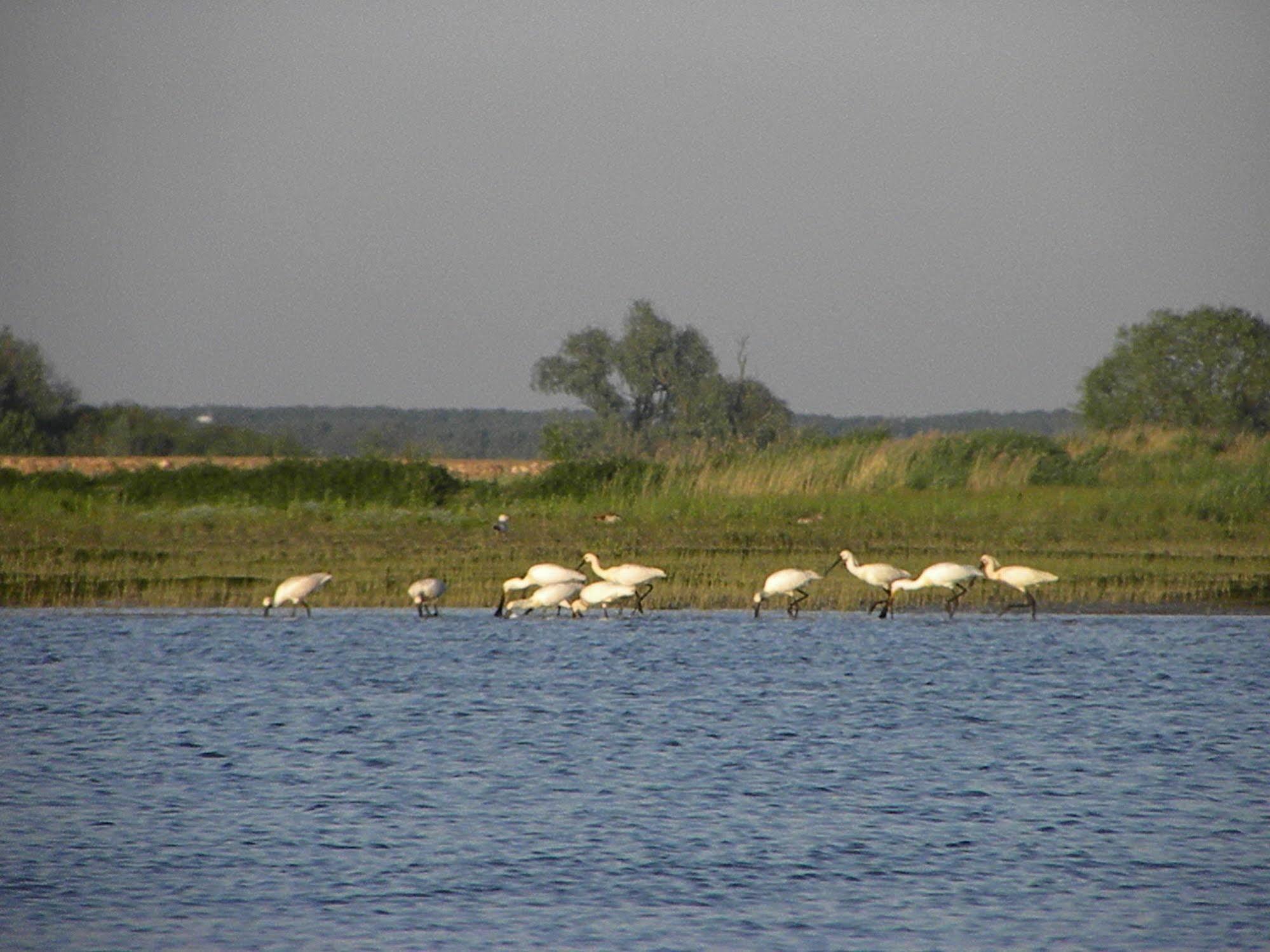 De Brabantse Biesbosch Hotell Werkendam Exteriör bild